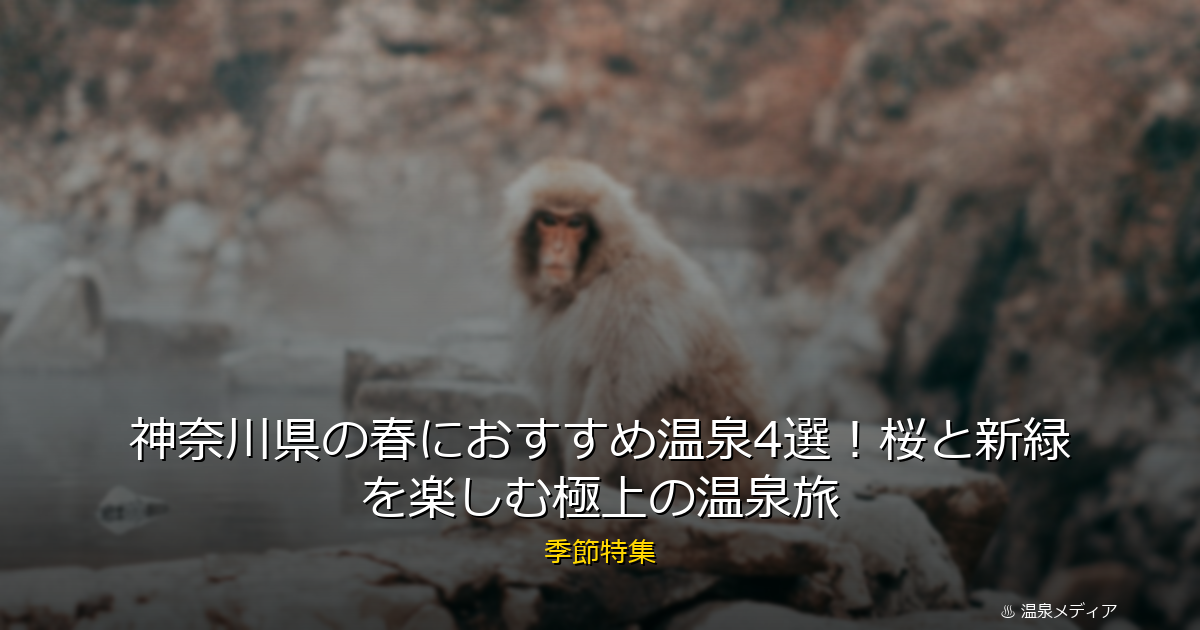 神奈川県の春におすすめ温泉4選！桜と新緑を楽しむ極上の温泉旅