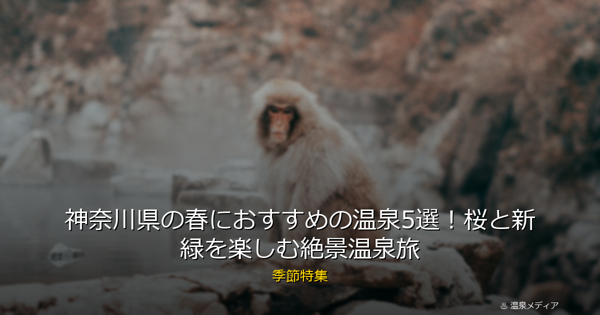 神奈川県の春におすすめの温泉5選！桜と新緑を楽しむ絶景温泉旅