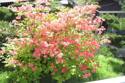 草津温泉　ホテルスパックス草津